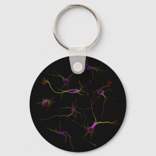 NeuronRoots KeyRing