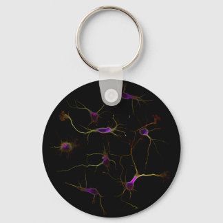 NeuronRoots KeyRing