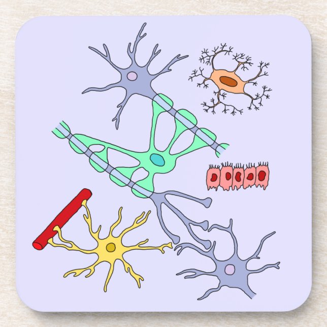 Neurons And Glia Coaster (Front)