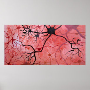 Neurons canvass poster