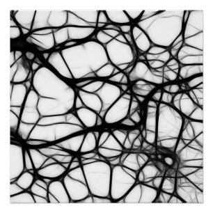 Neurons Poster