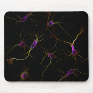 NeuroRootsPad Mouse Mat