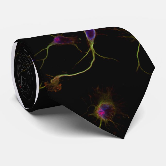 NeuroRootsTie Tie (Rolled)