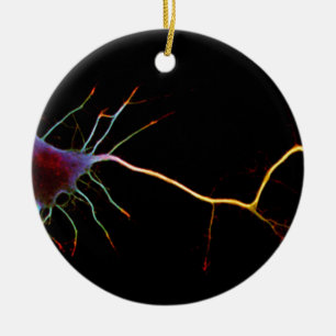 Neuroscience, neuron, science ceramic tree decoration