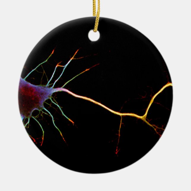 Neuroscience, neuron, science ceramic tree decoration (Front)