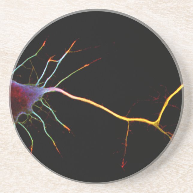Neuroscience, neuron, science coaster (Front)