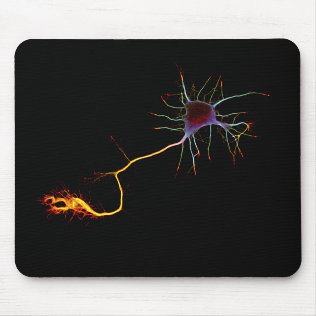 Neuroscience, neuron, science mouse mat (Front)