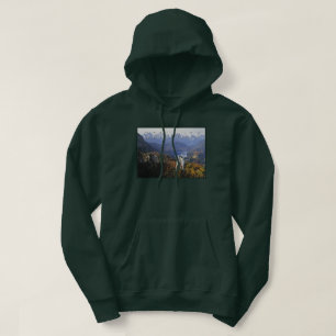 Neuschwanstein Castle Germany, Bavaria Hoodie