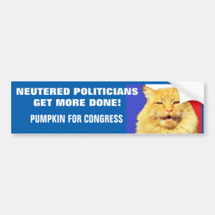Neutered Politicians Get More Done - Cat Meme Bumper Sticker