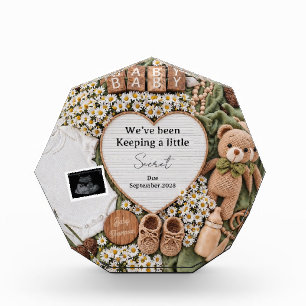 Neutral boho teddy bear pregnancy announcement photo block