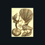 Neutral Shells and Coral Collection Canvas Print<br><div class="desc">Go underwater to explore the sea with all these different sea creatures. This vintage piece of art is a perfect addition to any sea anemone lovers. Get your art print today on your product.</div>