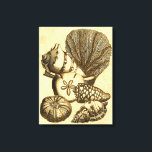 Neutral Shells and Coral Collection Canvas Print<br><div class="desc">Go underwater to explore the sea with all these different sea creatures. This vintage piece of art is a perfect addition to any sea anemone lovers. Get your art print today on your product.</div>