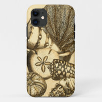 Neutral Shells and Coral Collection