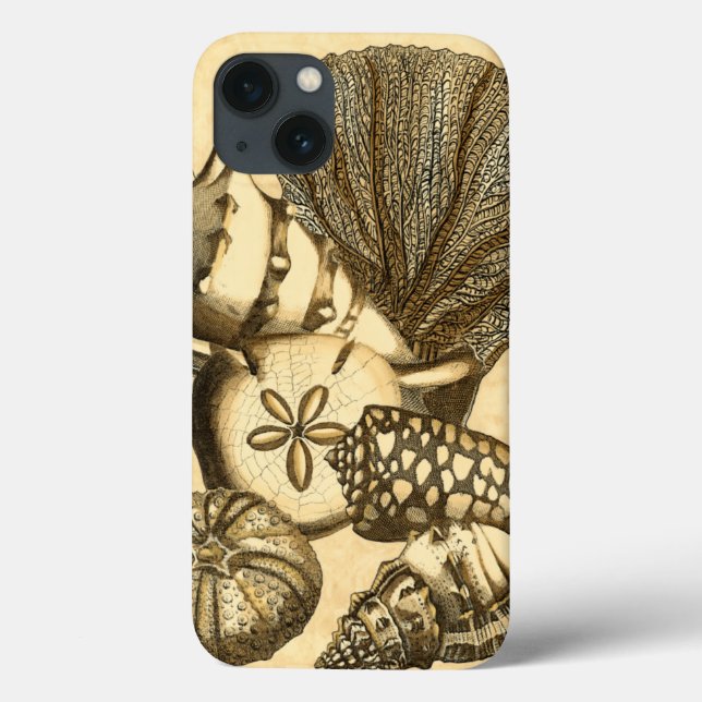 Neutral Shells and Coral Collection Case-Mate iPhone Case (Back)
