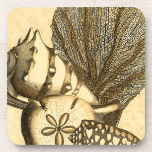 Neutral Shells and Coral Collection Coaster