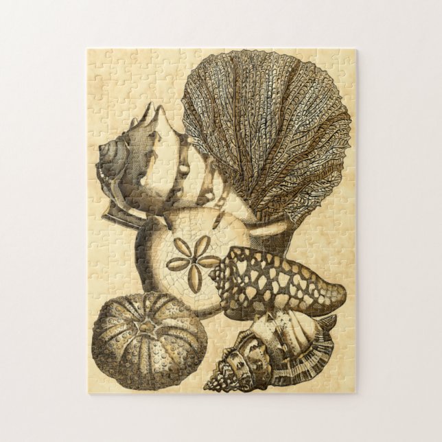 Neutral Shells and Coral Collection Jigsaw Puzzle (Vertical)