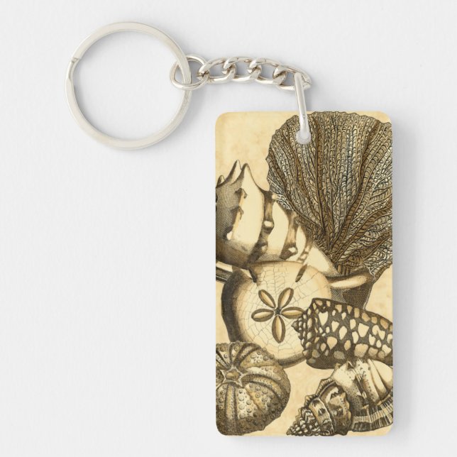 Neutral Shells and Coral Collection Key Ring (Front)