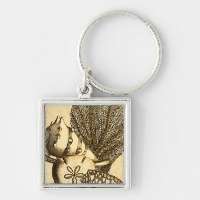 Neutral Shells and Coral Collection Key Ring (Front)