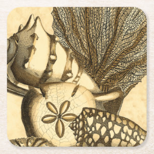 Neutral Shells and Coral Collection Square Paper Coaster