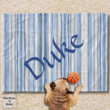 Neutral Striped Pattern Blue Beige Pet Blanket 