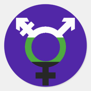 Neutrois Flag Trans Symbol Classic Round Sticker