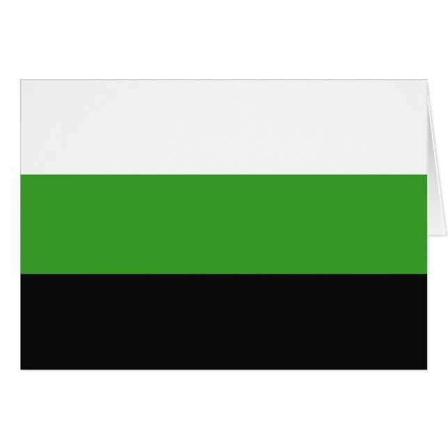 Neutrois Pride Flag (Front Horizontal)
