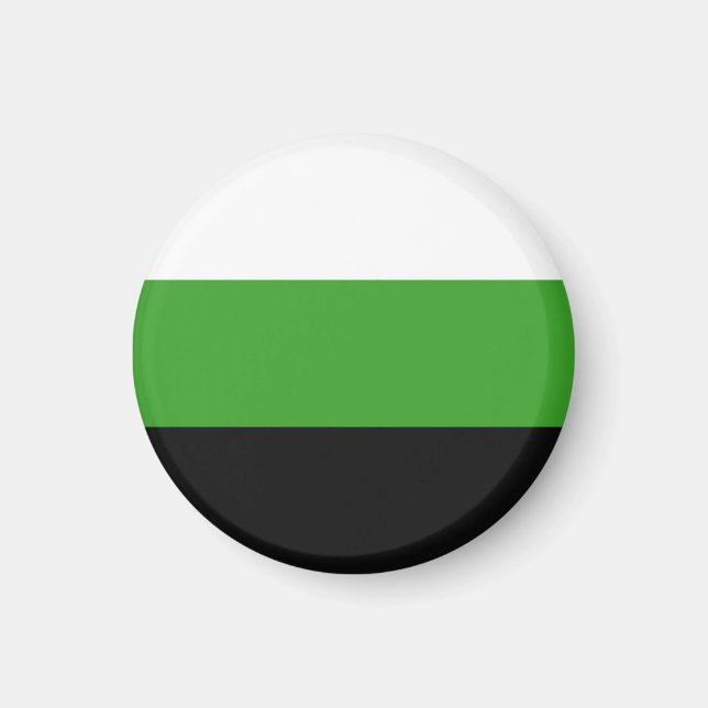 Neutrois Pride Flag Magnet (Front)