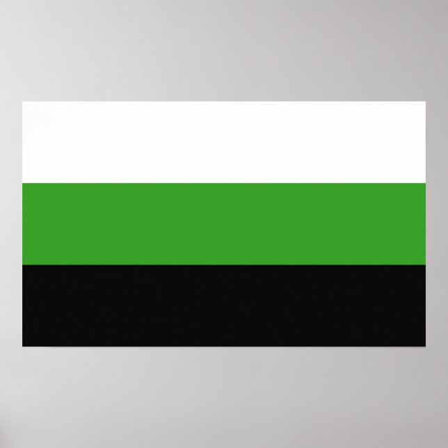 Neutrois Pride Poster (Front)