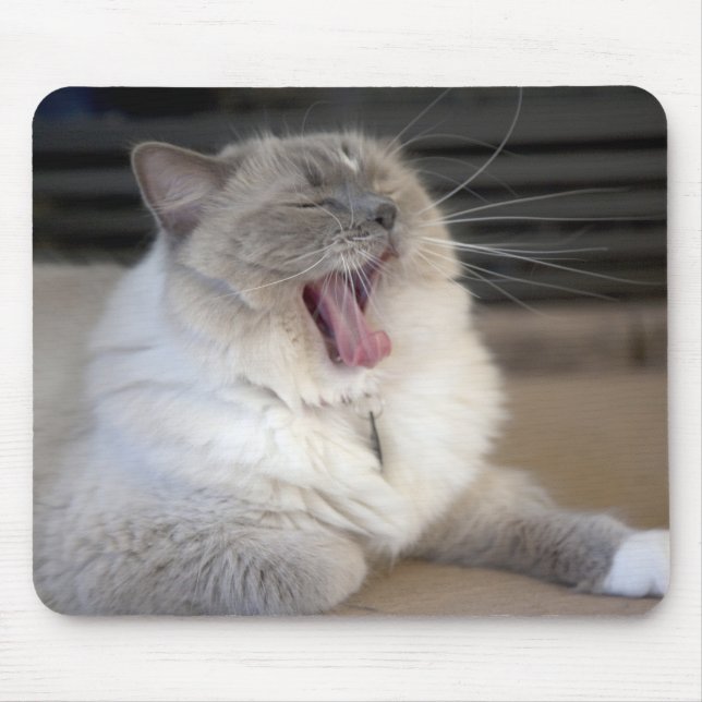 Neva Masquerade cat yawning Mouse Mat (Front)