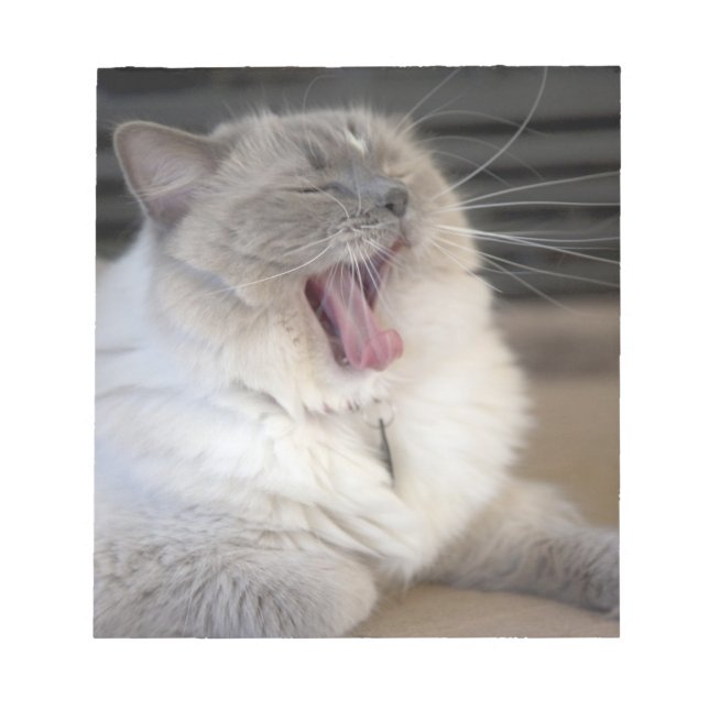 Neva Masquerade cat yawning Notepad (Front)