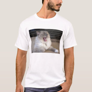 Neva Masquerade cat yawning T-Shirt