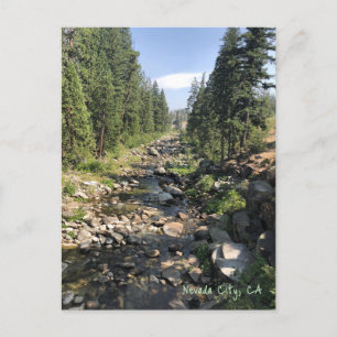Nevada City California Postcard