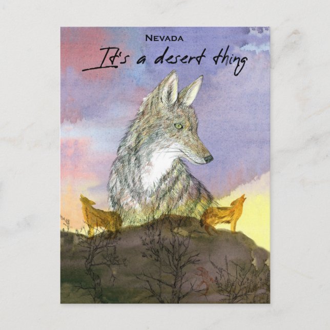 Nevada Coyote It's A Desert Thing Sunset Postcard (Front)