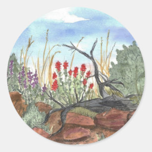 Nevada Desert Indian Paintbrush Classic Round Sticker