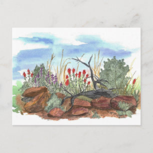 Nevada Desert Indian Paintbrush Watercolor Postcard