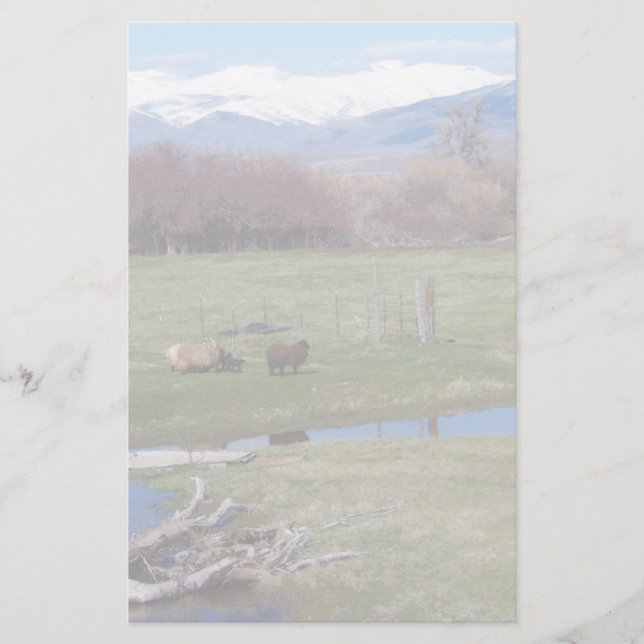 Nevada Ranch Landscape Stationery (Front)