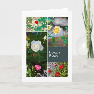 Nevada Roses in Reno Parks photo collage Card