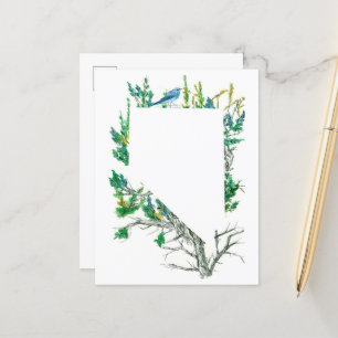 Nevada State Flower Sagebrush Mountain Bluebird Postcard