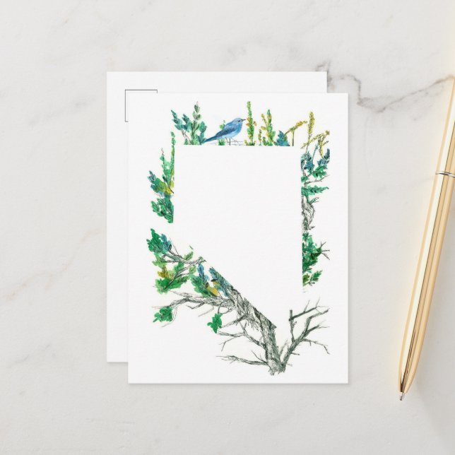 Nevada State Flower Sagebrush Mountain Bluebird Postcard (Front/Back In Situ)