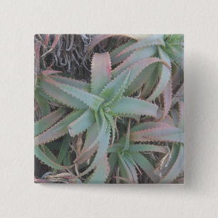 Nevada succulents 15 cm square badge