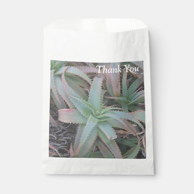 Nevada succulents       favour bags (Front)