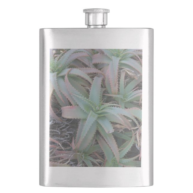 Nevada succulents       hip flask (Front)