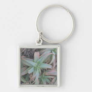 Nevada succulents key ring