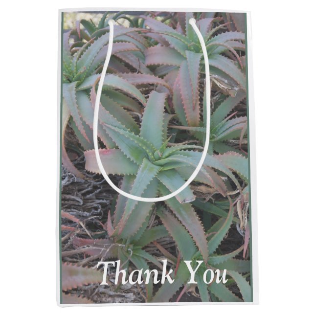 Nevada succulents       medium gift bag (Front)