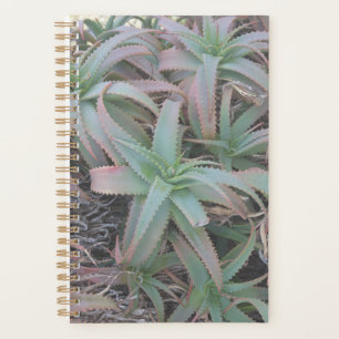 Nevada succulents           planner