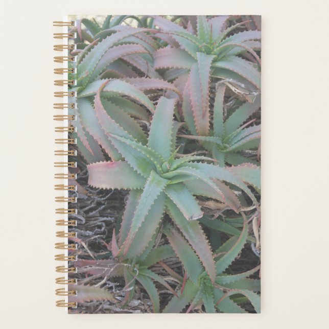 Nevada succulents           planner (Front)