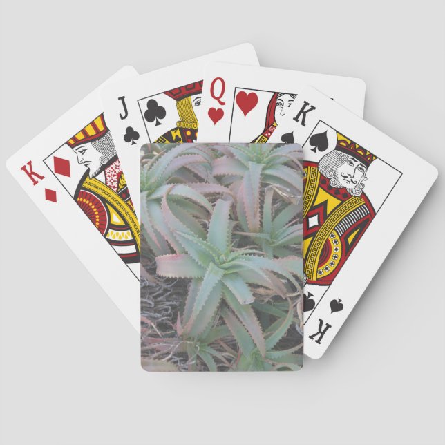 Nevada succulents           playing cards (Back)