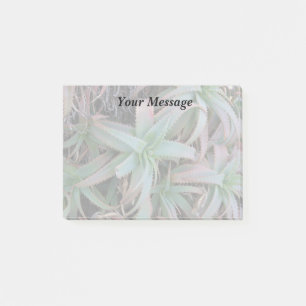 Nevada succulents post-it notes