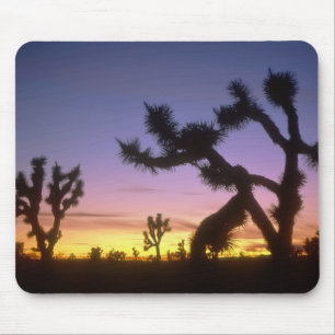 NEVADA. USA. Joshua trees Yucca brevifolia) Mouse Mat