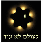 Never Again Fractal Star Of David Photo Sculpture Magnet<br><div class="desc">For Yom HaShoah,  Holocaust Remembrance Day. A black and yellow fractal image recalling the yellow "Star of David" which the Nazis required Jews to wear during the Holocaust. Hebrew text reading,  "Le Olam Lo Od" (Never Again) also appears. Never forget; never let it happen again.</div>